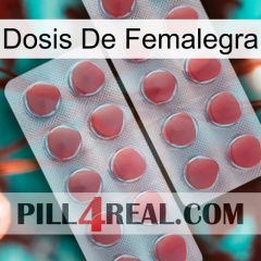 Femalegra Dosage 19